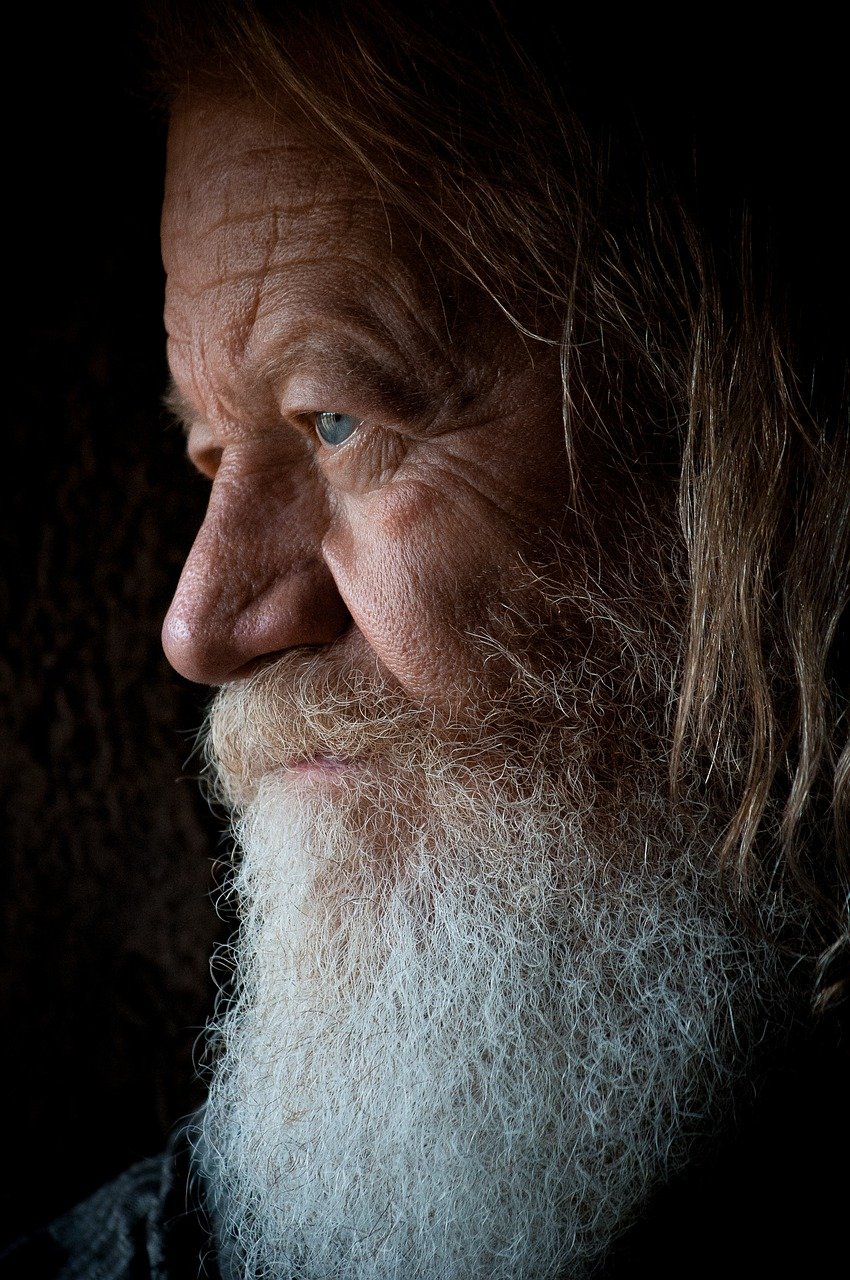 man, portrait, beard-1851469.jpg